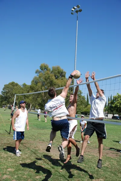 DSC_0162 (Large).JPG